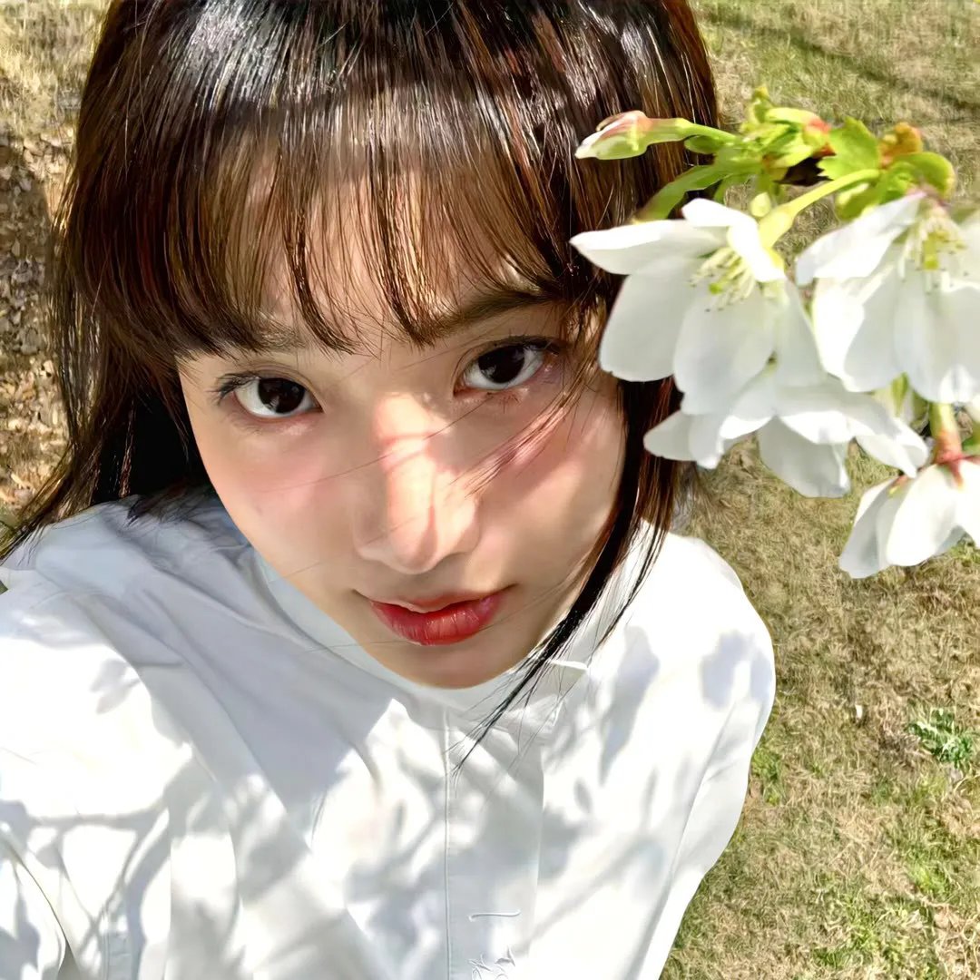 愤怒鸟玩电影2